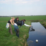 Bal in de sloot